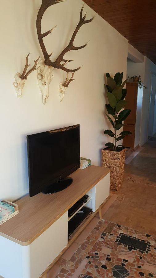 Appartement Unterbergblick Kossen Ngoại thất bức ảnh